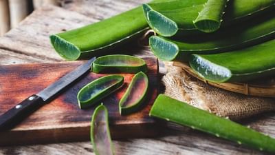 Aloe Vera: એલોવેરા માત્ર ત્વચા અને વાળ માટે જ ફાયદાકારક નથી, તે સ્વાસ્થ્ય સંબંધિત આ સમસ્યાઓમાં પણ આપે છે રાહત