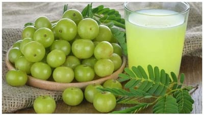 Amla Benefits : આમળાની આ રેસીપીઝ બનાવો, સ્વાદ સાથે આપશે તમારા શરીરને ઘણા ફાયદા