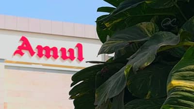 Amul ડેરીમાં માં સફેદ દુધના વહીવટ માટે કાળો કકળાટ, રામસિંહ પરમાર અને પપ્પુ પાઠક સામ સામે