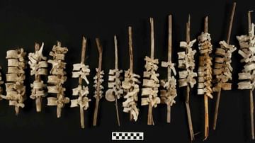 Human Spines Found In Peru: 500 વર્ષ જૂની પેરૂની વિચિત્ર પ્રથાનો સંશોધકોએ કર્યો ખુલાસો