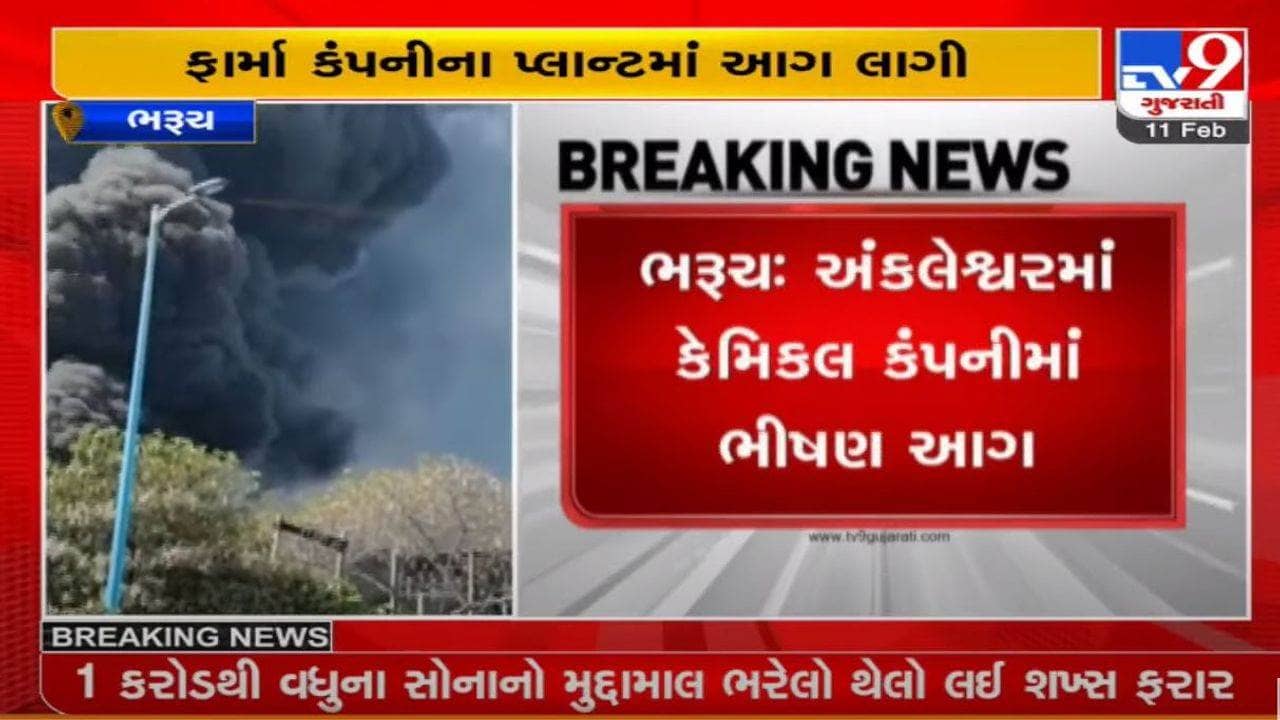 અંકલેશ્વરમાં મહાકાળી ફાર્મા કંપનીના પ્લાન્ટમાં ભીષણ આગ, 3 કલાકની જહેમત બાદ આગ કાબૂમાં