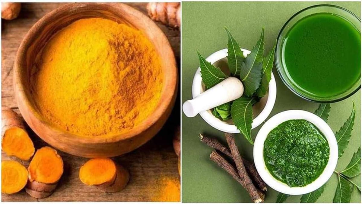 Health Tips : લીમડો અને હળદર સારા સ્વાસ્થ્ય માટે ખૂબ જ ફાયદાકારક, જાણો તેના ફાયદા