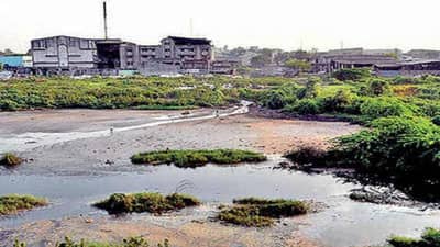 Surat : ઔદ્યોગિક એકમોને મનપાનું અલ્ટીમેટમ, પ્રદૂષિત પાણી છોડશો તો, જીપીસીબી-પાલિકા કરશે સંયુક્ત કાર્યવાહી