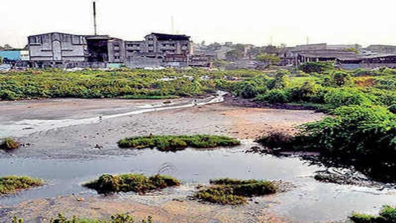 Surat : ઔદ્યોગિક એકમોને મનપાનું અલ્ટીમેટમ, પ્રદૂષિત પાણી છોડશો તો, જીપીસીબી-પાલિકા કરશે સંયુક્ત કાર્યવાહી