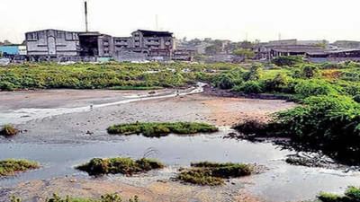 Surat : ઔદ્યોગિક એકમોને મનપાનું અલ્ટીમેટમ, પ્રદૂષિત પાણી છોડશો તો, જીપીસીબી-પાલિકા કરશે સંયુક્ત કાર્યવાહી