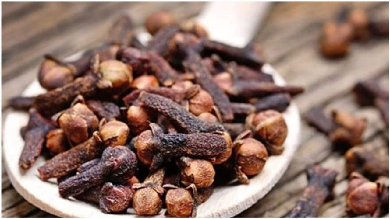 Cloves Health Benefits : લવિંગ છે આ રોગો માટે રામબાણ, જાણો તેના ફાયદા