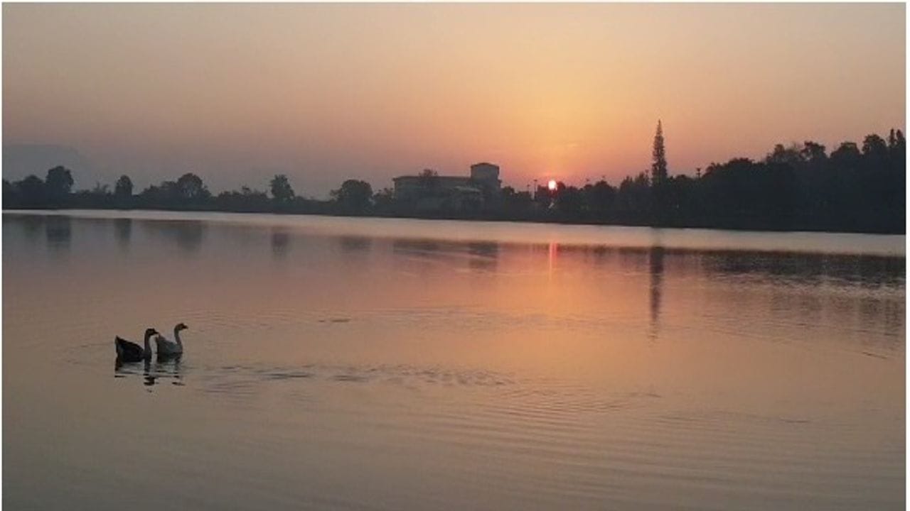 Dang: ગિરિમથક સાપુતારામાં ફરી એકવાર કુદરતી સૌંદર્ય ખીલી ઉઠ્યું, પ્રવાસીઓનો ધસારો વધ્યો