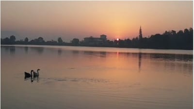 Dang: ગિરિમથક સાપુતારામાં ફરી એકવાર કુદરતી સૌંદર્ય ખીલી ઉઠ્યું, પ્રવાસીઓનો ધસારો વધ્યો