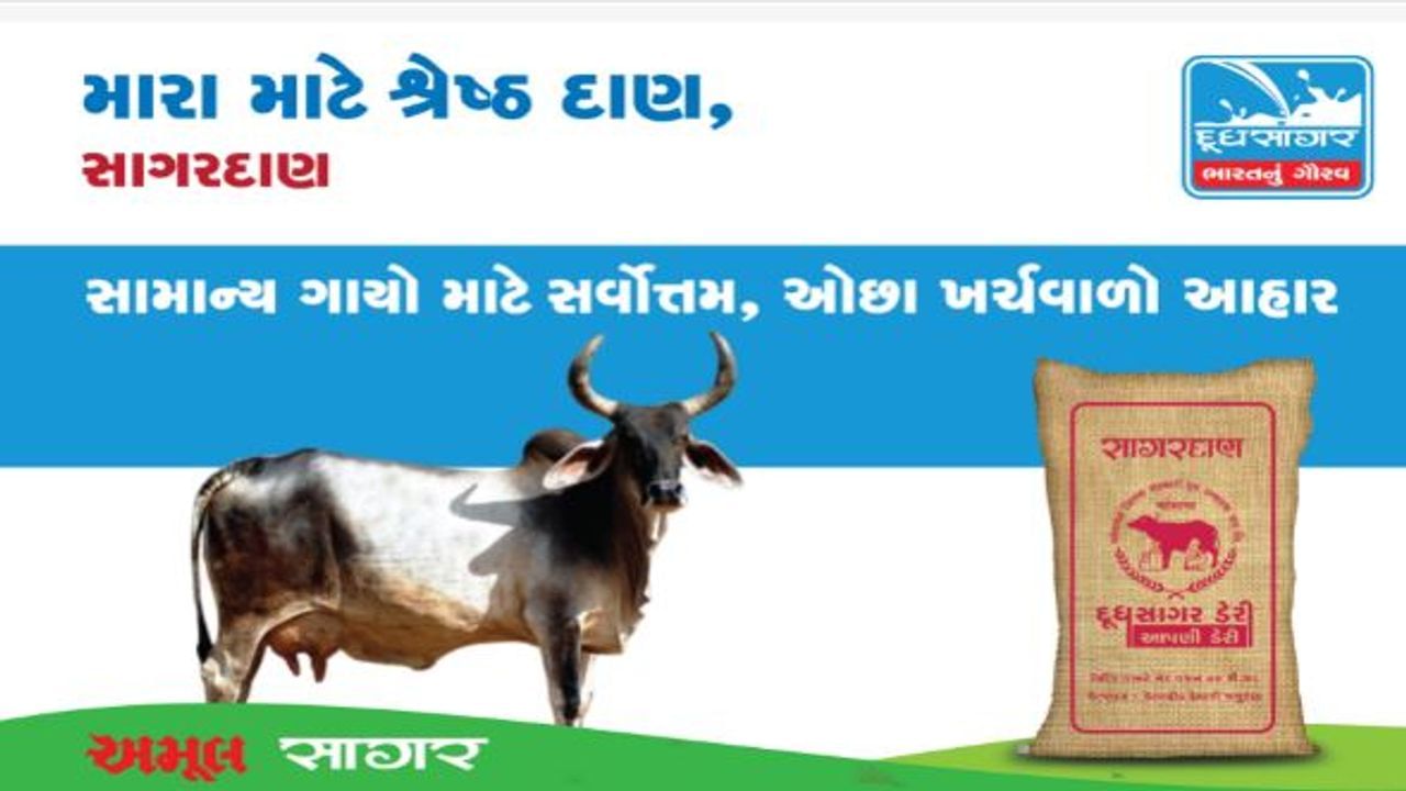 દૂધાળા પશુઓને પોષક તત્વો મળી રહે તે માટે દાણ ઉપયોગી, જાણો સુમિશ્રિત