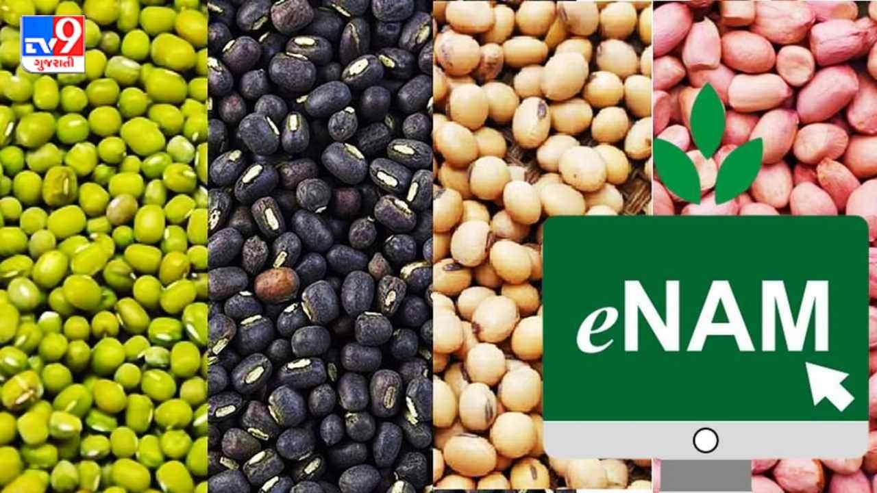e-NAM: કૃષિ ઉત્પાદનોના ઓનલાઈન વેચાણ માટેનો શ્રેષ્ઠ માર્ગ, જાણો ફાયદા અને સંપૂર્ણ પ્રોસેસ