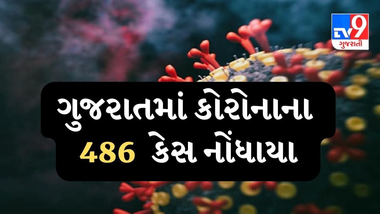 ગુજરાતમાં કોરોનાની ત્રીજી લહેર અંત તરફ, છેલ્લા 24 કલાકમાં 486 કેસ નોંધાયા, 13 લોકોના મૃત્યુ ગુજરાતમાં કોરોનાની ત્રીજી લહેર અંત તરફ, છેલ્લા 24 કલાકમાં 486 કેસ નોંધાયા, 13 લોકોના મૃત્યુ