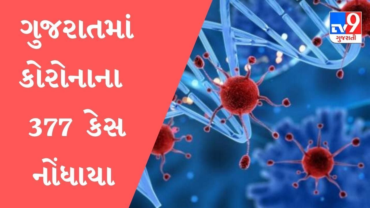 ગુજરાતમાં કોરોનાના કેસમાં તીવ્ર ઘટાડો, નવા 377 કેસ નોંધાયા, 9 લોકોના મૃત્યુ ગુજરાતમાં કોરોનાના કેસમાં તીવ્ર ઘટાડો, નવા 377 કેસ નોંધાયા, 9 લોકોના મૃત્યુ