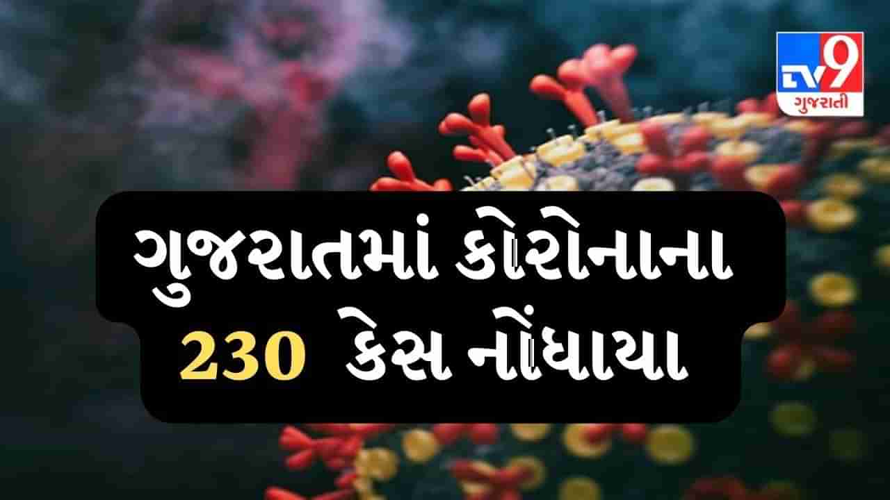 ગુજરાતમાં કોરોનાના નવા 230 કેસ નોંધાયા, બે લોકોના મૃત્યુ