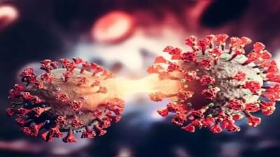 ગુજરાતમાં આજે કોરોનાના 3,897 કેસ નોંધાયા, 19ના મોત