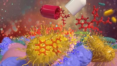 કોરોના સામે લડી રહેલા દર્દીઓમાં, બેક્ટેરિયા કોરોનાવાયરસની અસરોને હરાવી દેશે અને રિકવરી ઝડપી કરશે. જર્નલ ગટ માઇક્રોબ્સમાં પ્રકાશિત થયેલા સંશોધનમાં આ દાવો કરવામાં આવ્યો છે. સંશોધકોનું કહેવું છે કે આવા બેક્ટેરિયા જે શરીરને ફાયદો કરે છે તેને ગટ બેક્ટેરિયા (Gut Bacteria) કહેવાય છે. ખાસ સૂપ અને કેપ્સ્યુલ્સ દ્વારા શરીરમાં તેમની સંખ્યા વધારીને કોરોના રિકવરીને ઝડપી બનાવી શકાય છે.