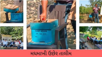 મહેસાણા: દૂધસાગર ડેરી સંચાલિત શિબિરમાં મધમાખી ઉછેર તાલીમની સાથે પ્રાકૃતિક ખેતીની પણ સમજ આપવામાં આવી