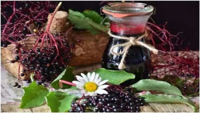 Health Tips: જાંબુનુ વિનેગર અનેક સ્વાસ્થ્ય સમસ્યાઓથી આપે છે રાહત, જાણો તેના સ્વાસ્થ્ય લાભો