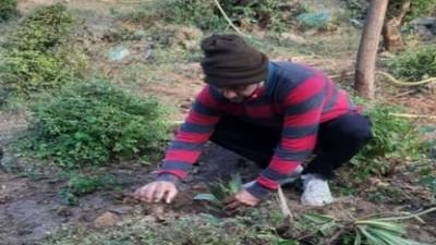 મહેસાણા : જાણીતા ઉધોગપતિ અને ગ્રીન એમ્બેસેડરે લતાજીને શ્રદ્ધાંજલિ અર્પી, 1,111 વૃક્ષોનું પોતાના ઋષિવનમાં વાવેતર કર્યું