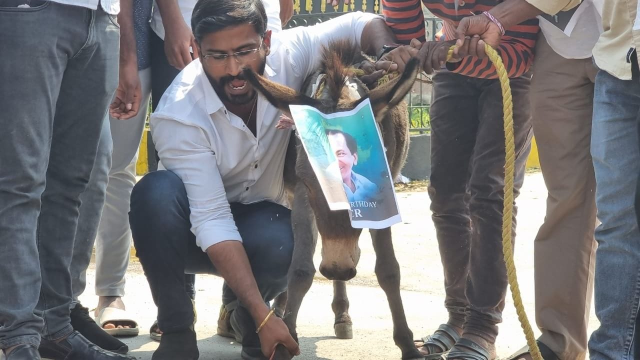 લો બોલો ! Telanganaમાં કોંગ્રેસના નેતા પર ગધેડાની ચોરીનો આરોપ, પોલીસે ધરપકડ કરી કેસ નોંધ્યો