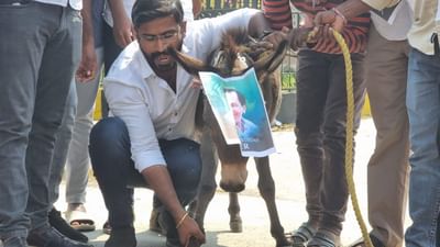 લો બોલો ! Telanganaમાં કોંગ્રેસના નેતા પર ગધેડાની ચોરીનો આરોપ, પોલીસે ધરપકડ કરી કેસ નોંધ્યો