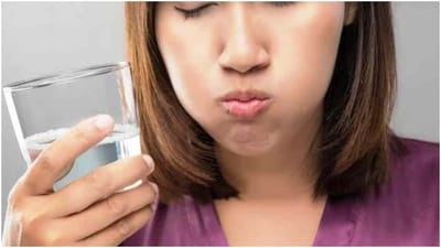 Natural Mouth Fresheners : શ્વાસની દુર્ગંધથી છુટકારો મેળવવા માટે 5 નેચરલ માઉથ ફ્રેશનર્સ