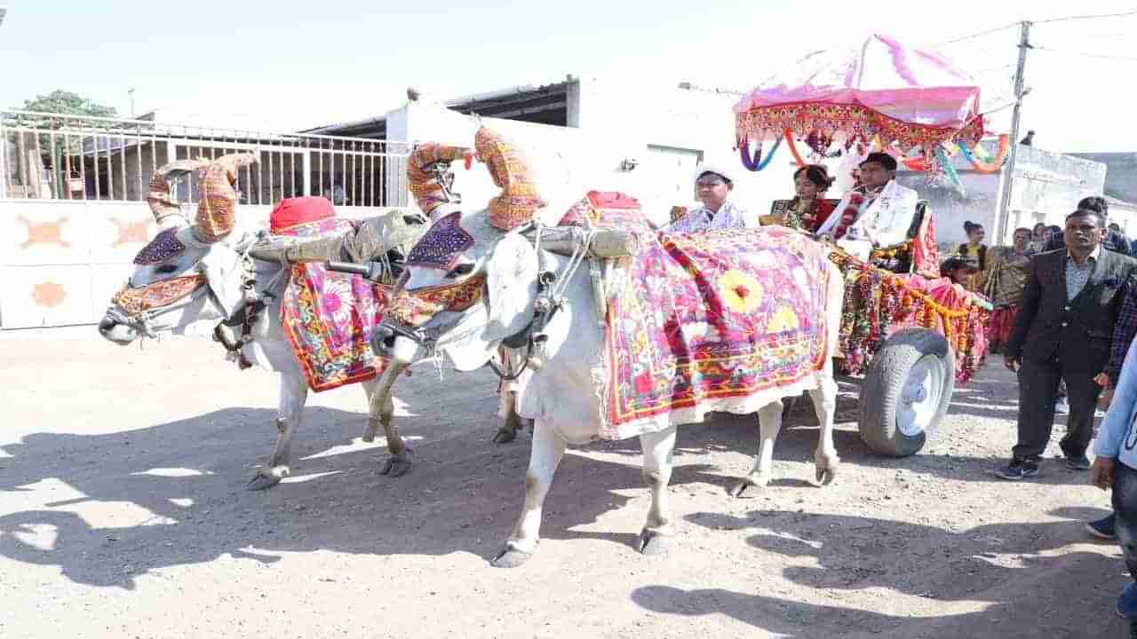 Rajkot: ખજુરડી ગામના લગ્ન બન્યા આકર્ષણનું કેન્દ્ર, હેલિકોપ્ટર અને લક્ઝુરિયસ કારના જમાનામાં આ વાહનમાં નીકળી જાન