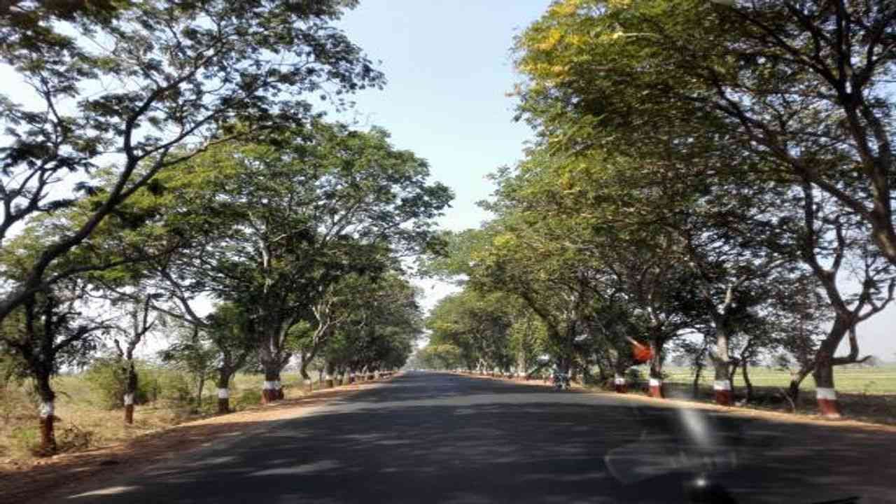 Vadodara કોર્પોરેશને છાણીના વેરાન વિસ્તારમાં રોડ બનાવી દેવાતા વિવાદ છેડાયો Vadodara કોર્પોરેશને છાણીના વેરાન વિસ્તારમાં રોડ બનાવી દેવાતા વિવાદ છેડાયો