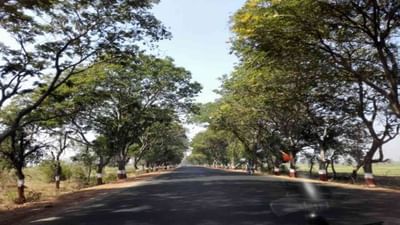 Vadodara કોર્પોરેશને છાણીના વેરાન વિસ્તારમાં રોડ બનાવી દેવાતા વિવાદ છેડાયો Vadodara કોર્પોરેશને છાણીના વેરાન વિસ્તારમાં રોડ બનાવી દેવાતા વિવાદ છેડાયો