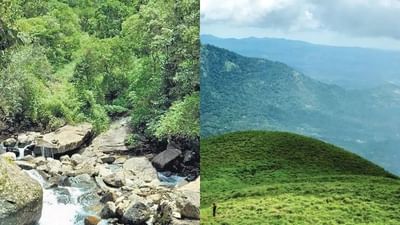 વાયનાડ કેરળમાં સ્થિત એક સુંદર પર્યટન સ્થળ તરીકે જાણીતું છે. હંમેશા એવું કહેવામાં આવે છે કે તમે કેરળ ગયા અને વાયનાડની મજા ન લીધી તો તમે શું જોયું. અહીંના આકર્ષક ધોધ, ઐતિહાસિક ગુફાઓ દરેકને પોતાની તરફ આકર્ષિત કરે છે. જો તમે પણ વાયનાડની મુલાકાત લેવાનું વિચારી રહ્યા છો, તો આજે અમે તમને અહીંની શ્રેષ્ઠ જગ્યાઓથી પરિચિત કરાવીશું.