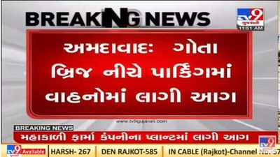 Ahmedabad : ગોતા બ્રિજ નીચે પાર્કિંગમાં વાહનોમાં લાગી ભીષણ આગ, આગનું કારણ અકબંધ