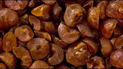 Amla Benefits : આમળા છે ગુણોનો રાજા, સેવન કરોશો તો બિમારી થશે છુમંતર