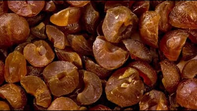 Amla Benefits : આમળા છે ગુણોનો રાજા, સેવન કરોશો તો બિમારી થશે છુમંતર