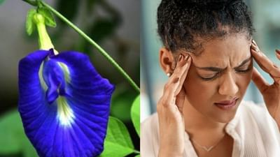 Health: માઈગ્રેન માટે દવા નહીં પણ આ એક ફૂલ લાગશે કામ? જાણો કયું છે ફૂલ