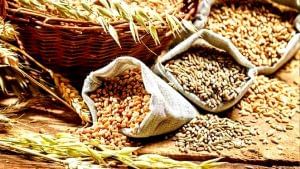 Foodgrains Production in India: દેશમાં રેકોર્ડ 316.06 મિલિયન ટન અનાજ ઉત્પાદન, કેન્દ્ર સરકારે મુખ્ય પાકોનો જાહેર કર્યો અહેવાલ