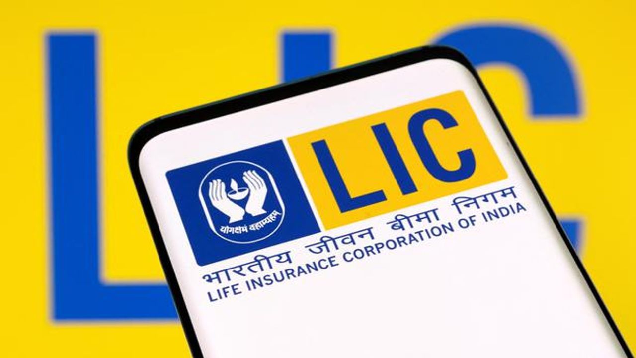 LIC  શેરબજારમાં સરકાર પછી સૌથી મોટી સ્ટેક હોલ્ડર, જાણો IPO પહેલા તેની આર્થિક સધ્ધરતા વિશે