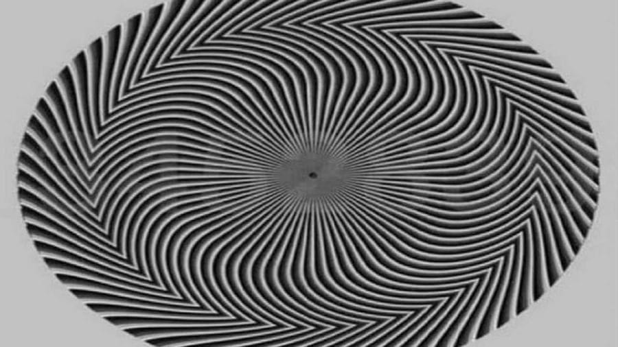 Viral Photo: 99% લોકો આ વર્તુળમાં છુપાયેલો નંબર કહેવામાં નિષ્ફળ ગયા, શું તમે સાચો જવાબ આપી શકશો ?