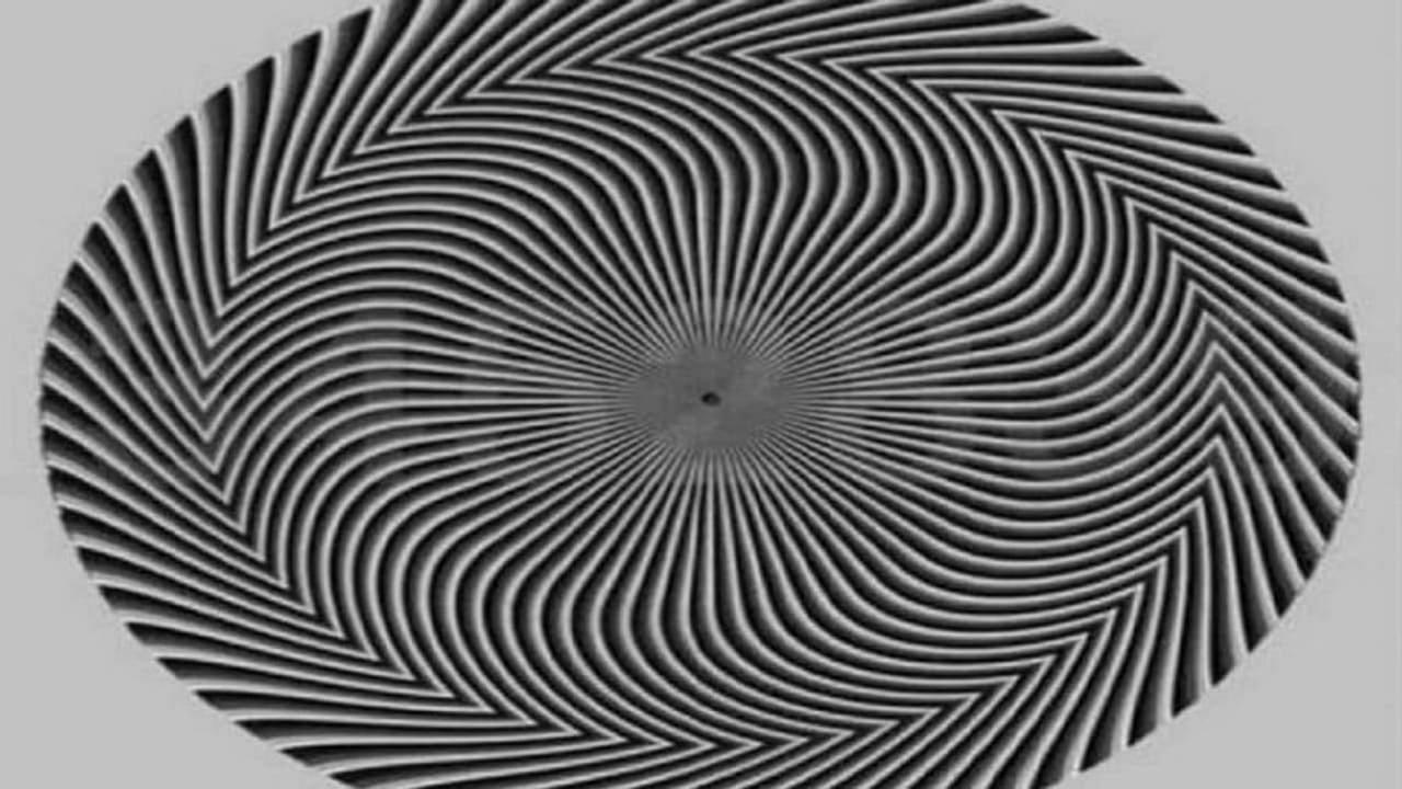 Viral Photo: 99% લોકો આ વર્તુળમાં છુપાયેલો નંબર કહેવામાં નિષ્ફળ ગયા, શું તમે સાચો જવાબ આપી શકશો ?