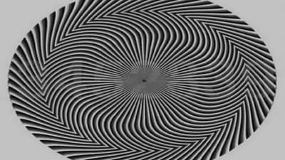 Viral Photo: 99% લોકો આ વર્તુળમાં છુપાયેલો નંબર કહેવામાં નિષ્ફળ ગયા, શું તમે સાચો જવાબ આપી શકશો ?