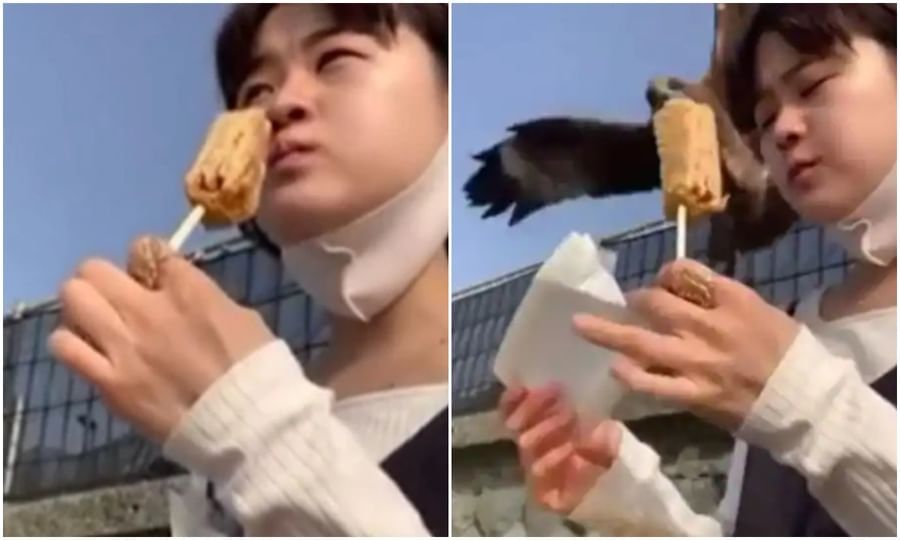 Viral Video: છોકરીની નજર ફરી અને પક્ષી આઇસક્રીમ છીનવીને ફરાર, લોકોએ કહ્યું પક્ષીઓને પણ હવે આઇસક્રીમ ગમે છે