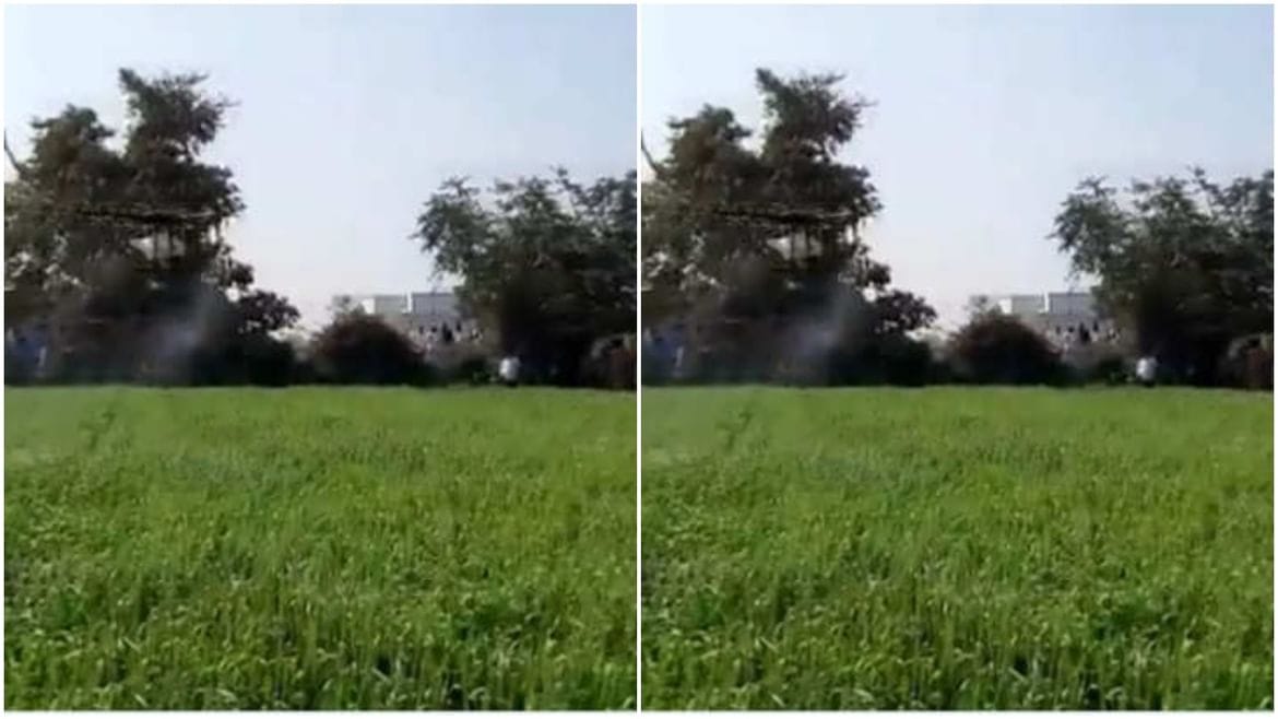 Viral: સોશિયલ મીડિયા પર વાયરલ થયો ડ્રોનવાળી ખેતીનો વીડિયો, લોકોએ કહ્યું 'નવા ભારતની નવી કૃષિ' Viral: સોશિયલ મીડિયા પર વાયરલ થયો ડ્રોનવાળી ખેતીનો વીડિયો, લોકોએ કહ્યું 'નવા ભારતની નવી કૃષિ'