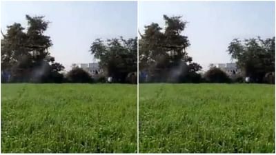 Viral: સોશિયલ મીડિયા પર વાયરલ થયો ડ્રોનવાળી ખેતીનો વીડિયો, લોકોએ કહ્યું 'નવા ભારતની નવી કૃષિ'