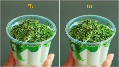 ઝીણી સમારેલી કોથમીરમાંથી McDonald એ તૈયાર કર્યો આઇસક્રીમ, ફોટો જોઈને ચોંકી ગયા આઈસ્ક્રીમ પ્રેમીઓ