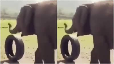 Animal Funny Video: બાળકની જેમ પગ વડે ટાયર ચલાવતો જોવા મળ્યો ગજરાજ, વીડિયો જોઈને લોકોને યાદ આવ્યું બાળપણ