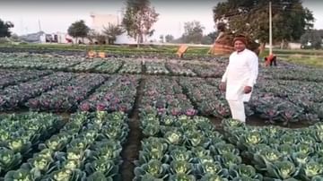 Success Story: ફુલોની ખેતી કરે છે આ પ્રગતિશીલ ખેડૂત, ખુબ જ રસપ્રદ છે રણબીર સિંહની કહાની