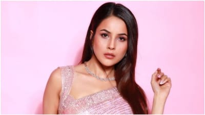 આયુષ શર્મા, ઝહીર ઈકબાલ પછી શહેનાઝ ગિલ પણ સલમાન ખાનની ફિલ્મ કભી ઈદ કભી દિવાલી છોડશે? આ રહ્યું કારણ