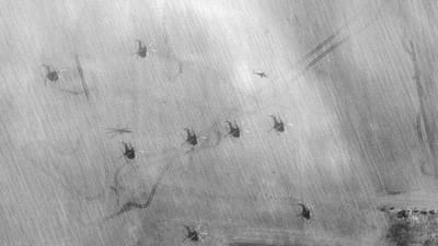 રશિયા અને યુક્રેનમાં ચાલી રહેલા જંગની વચ્ચે સેટેલાઈટ તસ્વીરો સામે આવી છે. જેમાં જાણી શકાય છે કે રશિયાના ઓછામાં ઓછા 150 હેલિકોપ્ટર અને તમામ સૈનિક યુક્રેન બોર્ડરથી થોડા માઈલ દુર તૈનાત છે.