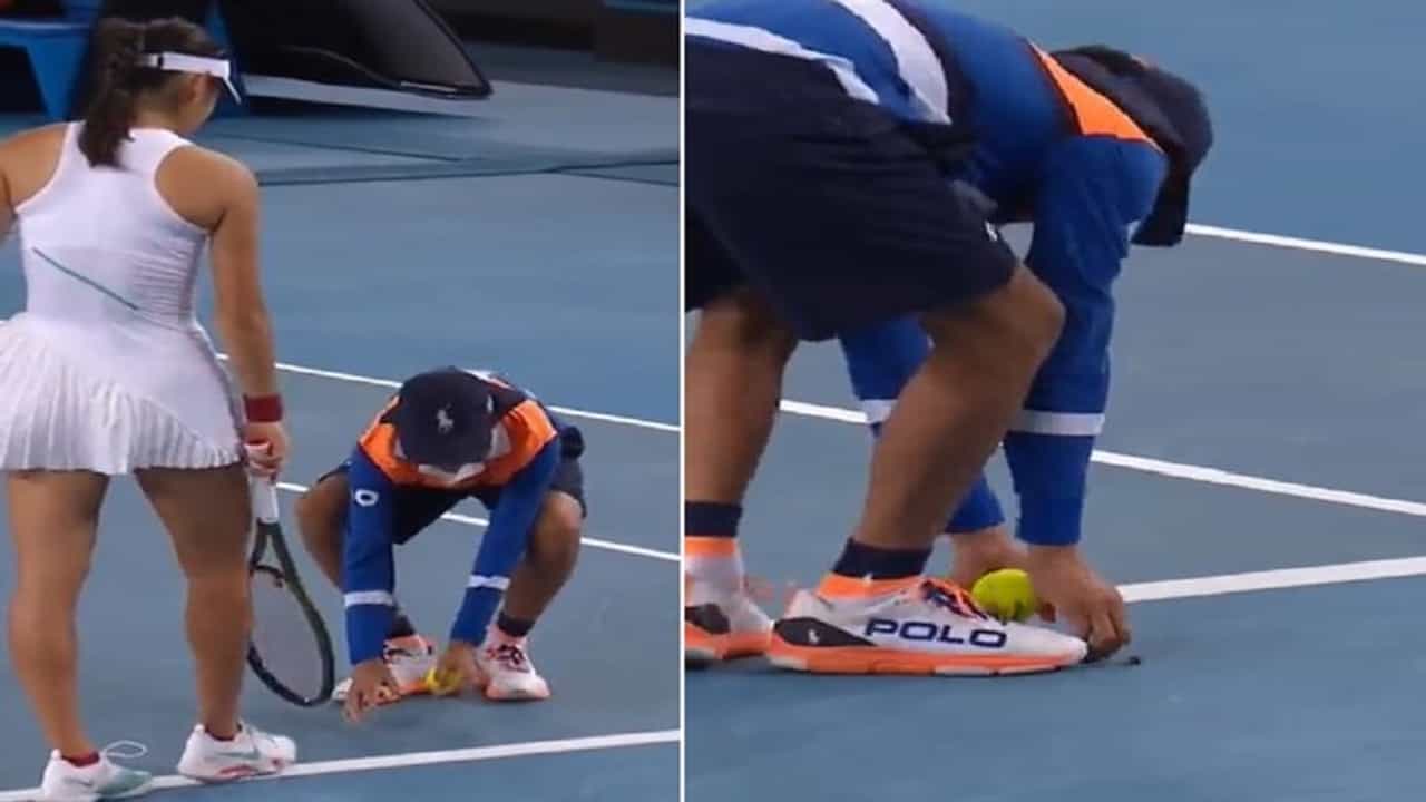 જ્યારે અચાનક જ ઉડતું આવી પહોંચ્યુ એક નાનકડુ જંતુ, પછી જોવા મળ્યો અદ્ભુત નજારો