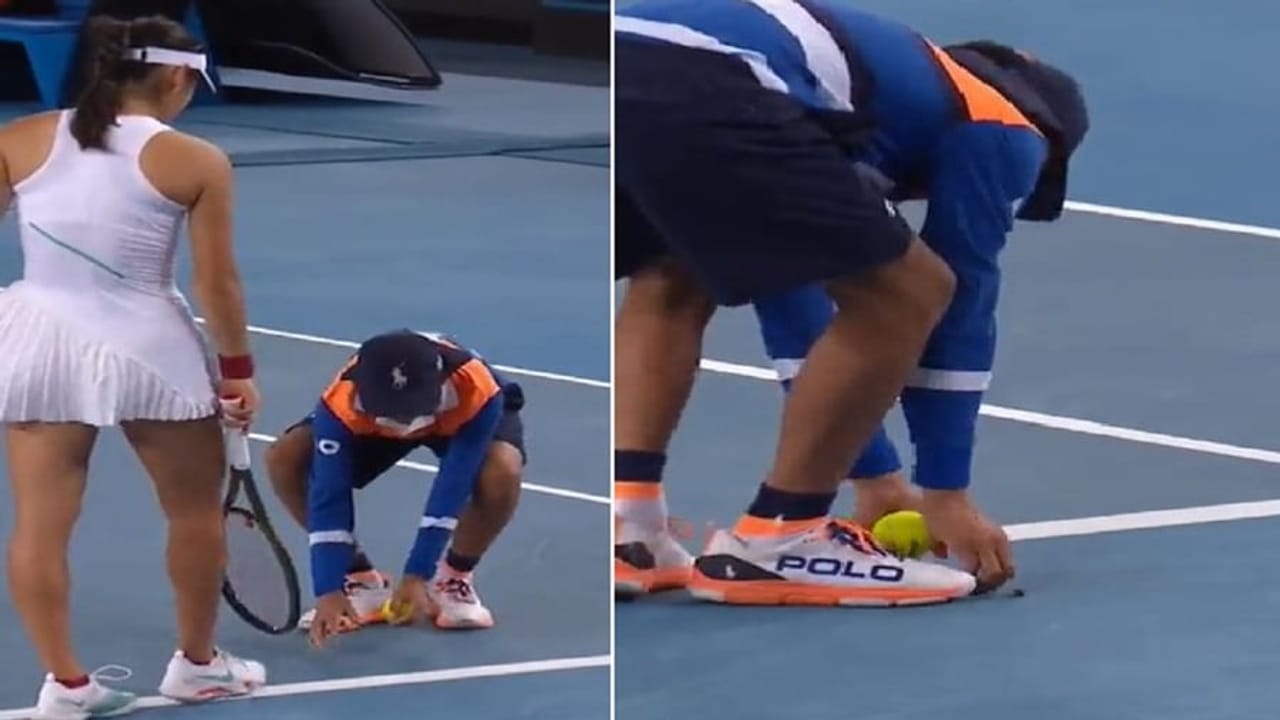 જ્યારે અચાનક જ ઉડતું આવી પહોંચ્યુ એક નાનકડુ જંતુ, પછી જોવા મળ્યો અદ્ભુત નજારો