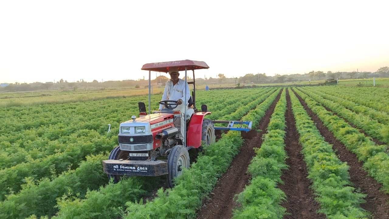 દેવભૂમિ દ્વારકા : પ્રાકૃતિક કૃષિ અપનાવી રૂપિયા 60 લાખથી વધુ આવક મેળવતા સિધ્ધપુર ગામના ધરતીપુત્રો