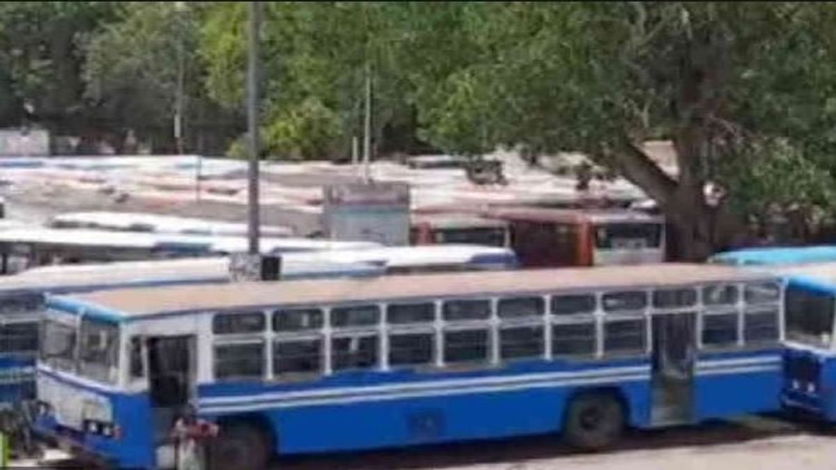 વડોદરામાં ચાલતી શહેરી બસ સેવાની વ્યવસ્થામાં અગડમ-બગડમ, શું સીટી બસ સેવા કરી રહી છે ખોટ ?